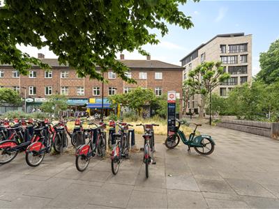 Picture 46